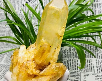 Citrine Cluster, Natural Healing Quartz Crystal for Energy & Positivity - 590g