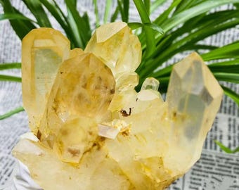 大型プレミアムハイグレードシトリン原石ドゥルージークラスターピース