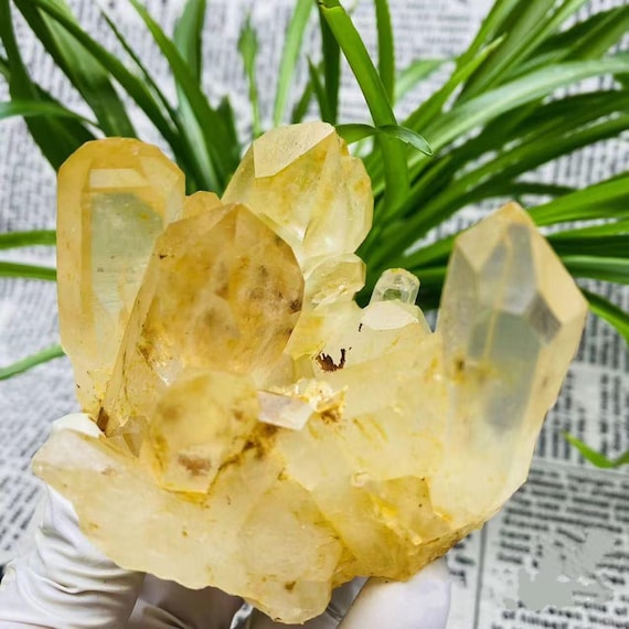 Golden Glow Citrine Cluster, Natural Healing Quartz Crystal, 360g