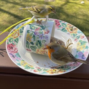 May include: A bird feeder made from a floral teacup and saucer, with two small birds perched on it. The teacup is upside down, and the saucer is decorated with colorful flowers and a bee. A yellow cord is attached for hanging.