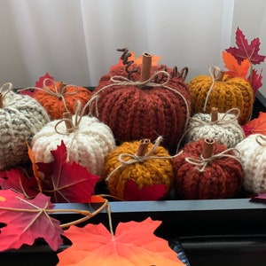 May include: A collection of knitted pumpkins in various fall colors, including white, brown, orange, and mustard yellow, displayed in a black tray with fall leaves.