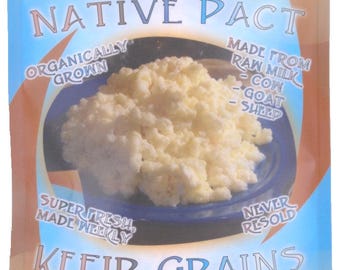 Organic Milk Kefir Grains - Made Fresh Daily | Detailed Video Instructions Included