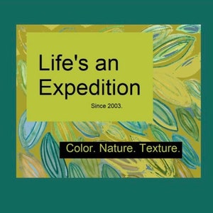 May include: A yellow and green abstract background with the text "Life's an Expedition" and "Since 2003."  Below the text is the phrase "Color. Nature. Texture."
