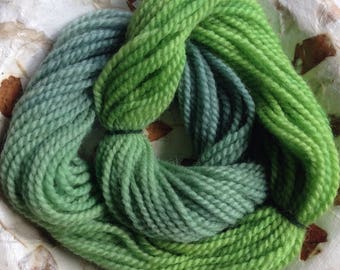 Wool yarn, hand dyed green soft wool worsted, lime green teal bluegreen blue-gray, 50 yards, crochet knitting yarn Life's an Expedition