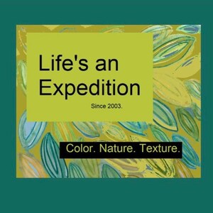 May include: A yellow and green abstract background with the text "Life's an Expedition" and "Since 2003."  Below the text is the phrase "Color. Nature. Texture."