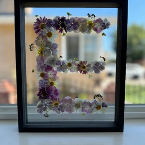 Letras iniciales, números, flores silvestres, flores prensadas, decoración botánica, decoración de pared, flores secas, flores cultivadas en casa, flores reales