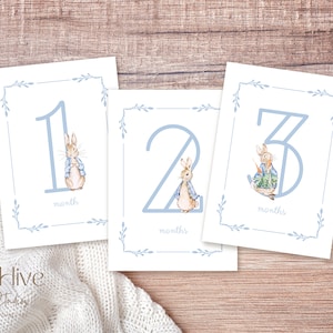 Cartes Bébé Jalon, Impressions Pierre Lapin, Cadeau pour bébé, Idées cadeaux pour une nouvelle maman, Fête Prénatale, Cartes Cadeaux Bébé Pour Un Mois, Souvenirs, Bébé Garçon, Ensemble Imprimé