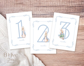 Baby Milestone Cards, Peter Rabbit Prints, Baby Gift, New Mom Gift Ideas, Baby Shower, Baby Month Cards, Memories, Baby Boy, Baby Gift