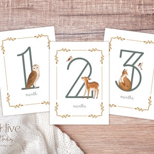 Cartes d’étape pour bébé, imprimés d’animaux des bois, cadeau de bébé, idées de cadeaux de nouvelle maman, baby shower, cartes du mois de bébé, souvenirs, bébé garçon, cadeau de bébé