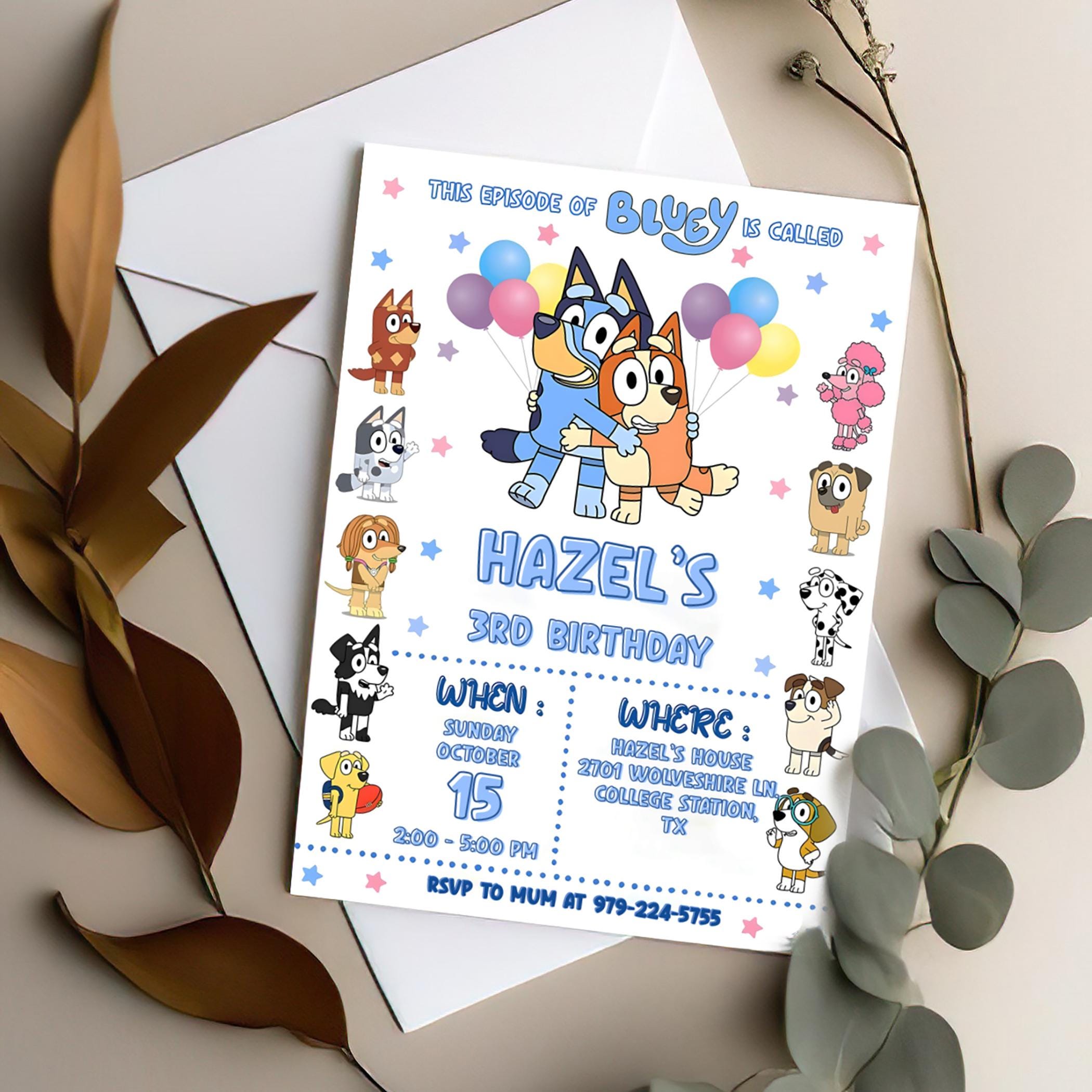 Custom Bluey Invite (12hr Delivery)