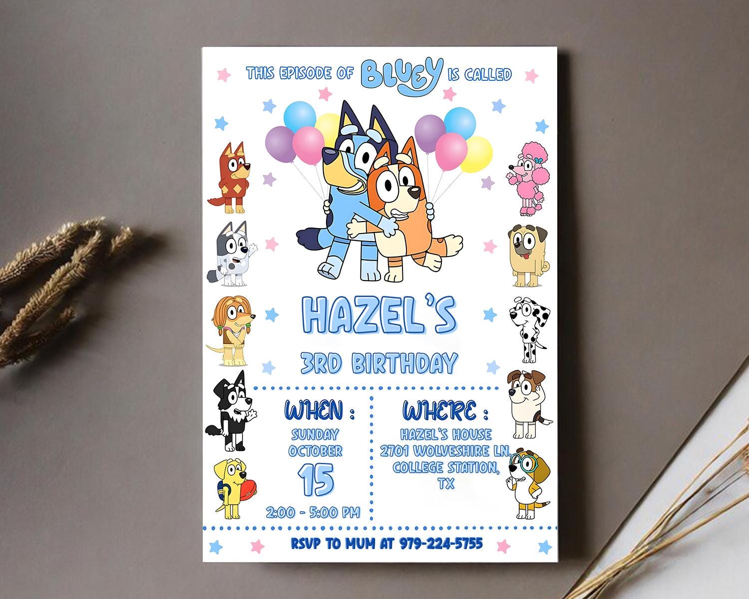 Custom Bluey Invite (12hr Delivery)