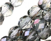 Czech Fire Polished Glass Beads 6mm Round 1 2 Coat Luster - Valentinite (25)