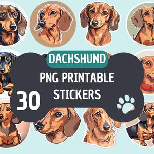 Dackel Clipart Bundle - 30 PNG süße entzückende Welpen Aufkleber, süße Hund Haustier Printables, sofortiger digitaler Download, Dackel