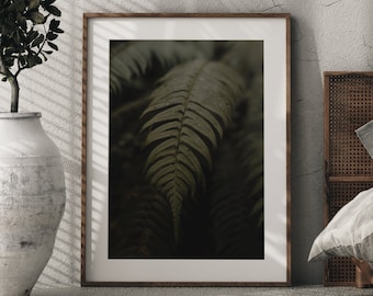 Fern Plant Photography Print: Minimalist Nature Wall Art