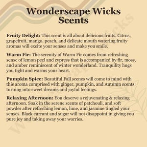 Wonderscape Wicks premium scented tin candles scent profiles including Fruity Delight (grapefruit, peach, mango, citrus), Warm Fir (lemon peel, cypress, fir, moss, amber), Pumpkin Spice (ginger, pumpkin, Autumn scents), and Relaxing Afternoon (patchouli, soft powder, jasmine, lemon, lime, black currant, sugar)