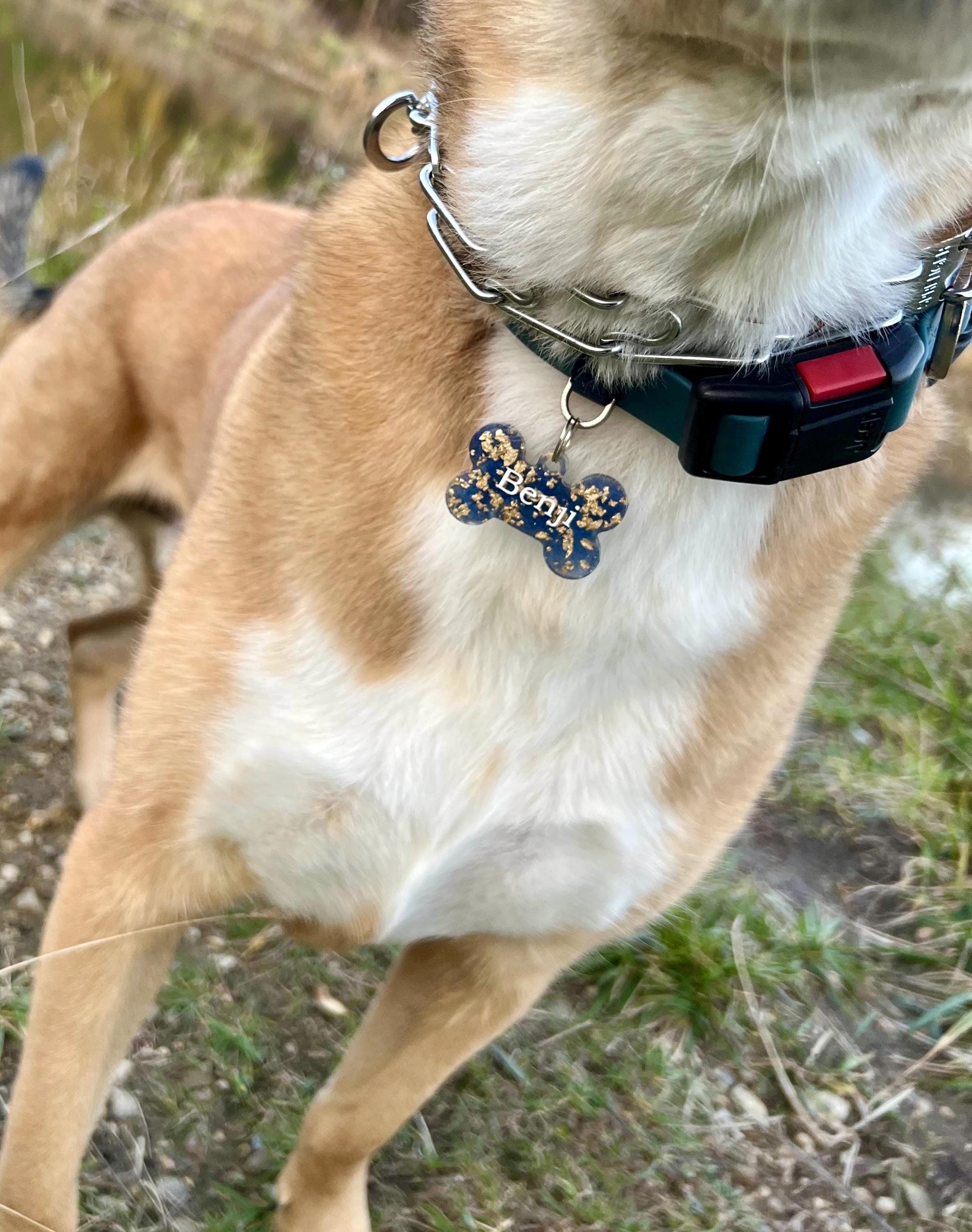 Personalized Pet Tags - Etsy