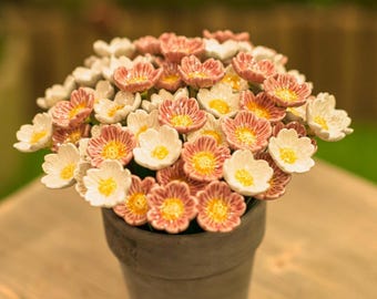 BloomingCeramicsGB - Etsy