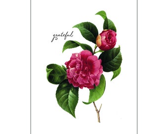 Bouquet Series - Grateful Postcard