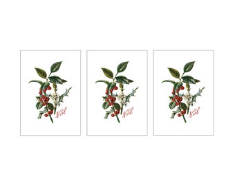 Holiday Cards - Noël (Set of Three)