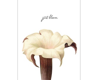 Botanical Series - Just Bloom