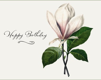 Birthday Card - Magnolia