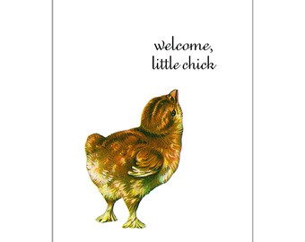 Occasion Card - New Baby - Chick