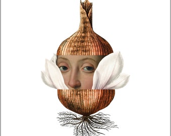 Square Postcard - Onion Head