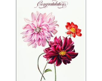 Occasion Card - Congratulations - Dahlias