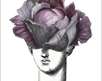 Square Postcard - Cabbage Head