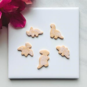 May include: Five sugar cookies shaped like dinosaurs on a white plate. The cookies are a light brown color and have a white sugar coating.