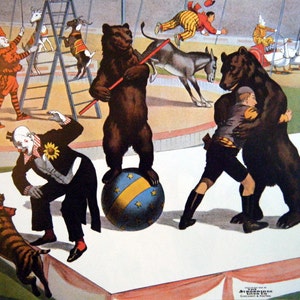 French Barnum & Bailey Circus BEARS and other animals Vintage Circus Poster Print -  Poster Size Vintage Book Plate