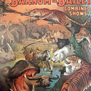 Vintage Book Circus Poster Print Lions Tigers Horses Poster Size Book Page