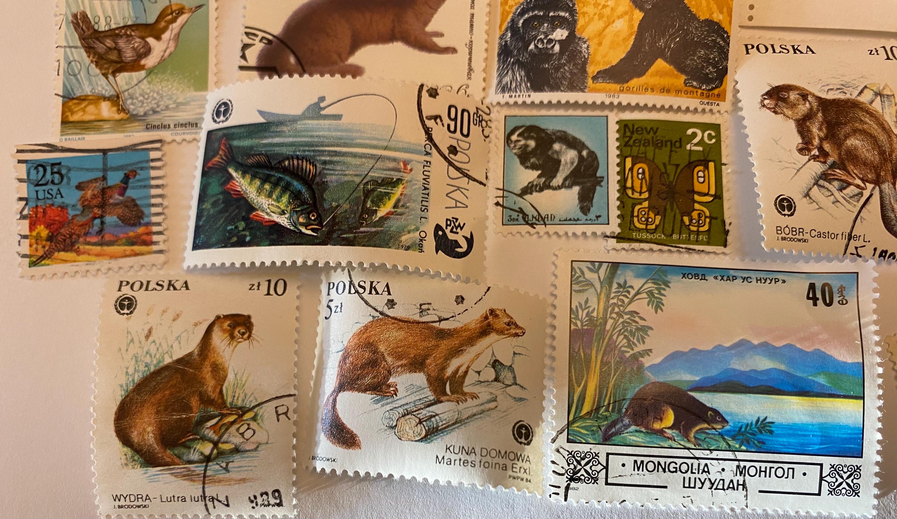 Animals Birds Fish Lot of 25 Vintage International Postage Stamps ...