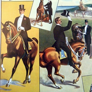 Barnum & Bailey Whole Horse Show  Vintage Circus Poster -  Poster Size Vintage Book Plate