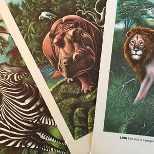 Vintage 1970s Jungle Animal Prints, Set of 3, Children's Room Decor