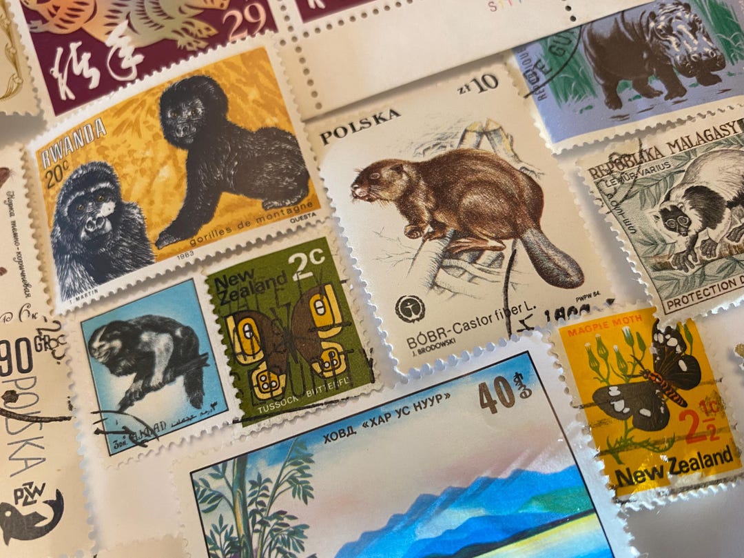 Animals Birds Fish Lot of 25 Vintage International Postage Stamps ...