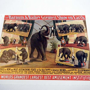 Circus ELEPHANTS Barnum and Bailey Vintage Circus Poster Print -  Poster Size Vintage Book Plate