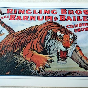 Vintage Circus Poster Print Leaping TIGER /  Trained Little Baby ELEPHANTS  Poster Size Book Page