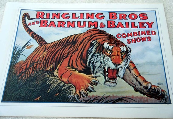 Vintage Circus Poster Print Leaping TIGER / Trained Little Baby