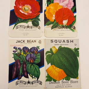 Vintage Seed Packets Unused Colorful POPPY Sweet Pea Jack Bean Squash