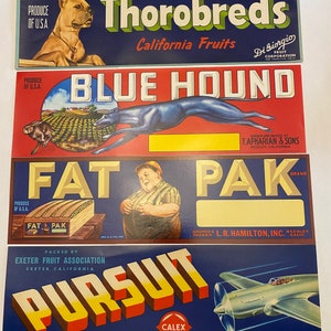 Crate Labels Art Lot of 4 Thorobreds Blue Hound Fat Pack Pursuit  Original crate labels