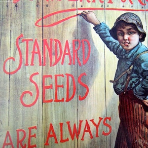 May include: A vintage advertisement for Standard Seeds, featuring a young boy in a blue shirt and overalls writing on a wooden wall with red paint. The text reads "Standard Seeds are always..."