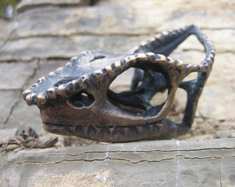 Chameleon Skull