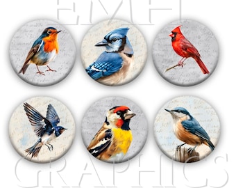 Bird Fridge Magnets, Pretty Birds Refrigerator Magnets, 1.5", Set of Six, Gift for Her