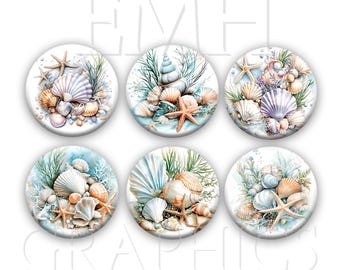 Seashell Fridge Magnets, Underwater Shells, Beach Theme Refrigerator Magnets, Summer Hostess Gift