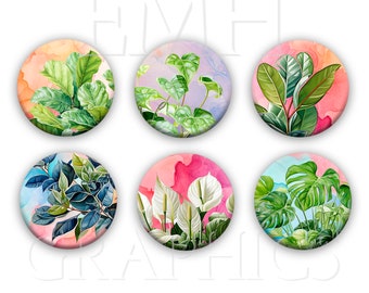 Houseplants Fridge Magnets, 1.5 inches, Set of Six, Refrigerator Magnets, Gift for Plant Lover, Hostess Gift, Monstera, Calla Lily