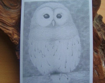 Barred Owl Notecard