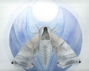 Könnte beinhalten: Ein Aquarellbild eines Nachtfalters mit einem großen, offenen Maul vor einem blauen und weißen Hintergrund. Die Flügel des Nachtfalters sind weit ausgebreitet, und sein Körper ist lang und schlank. Der Hintergrund ist ein weiches, abstraktes Design.
