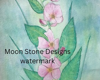 Könnte beinhalten: Aquarellmalerei einer rosa Blume mit grünen Blättern und blauem Hintergrund. Das Bild ist signiert mit "Moon Stone Designs watermark".