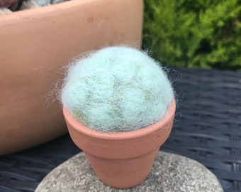 Succulent cactus needle felted realistic